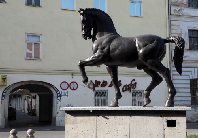 Socha koňa nazvaného CASSO