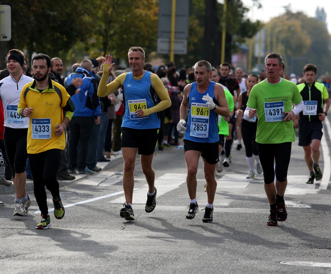 Medzinárodný maratón mieru 2013