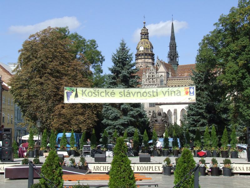 Košické slávnosti vína 2008 na Dolnej bráne