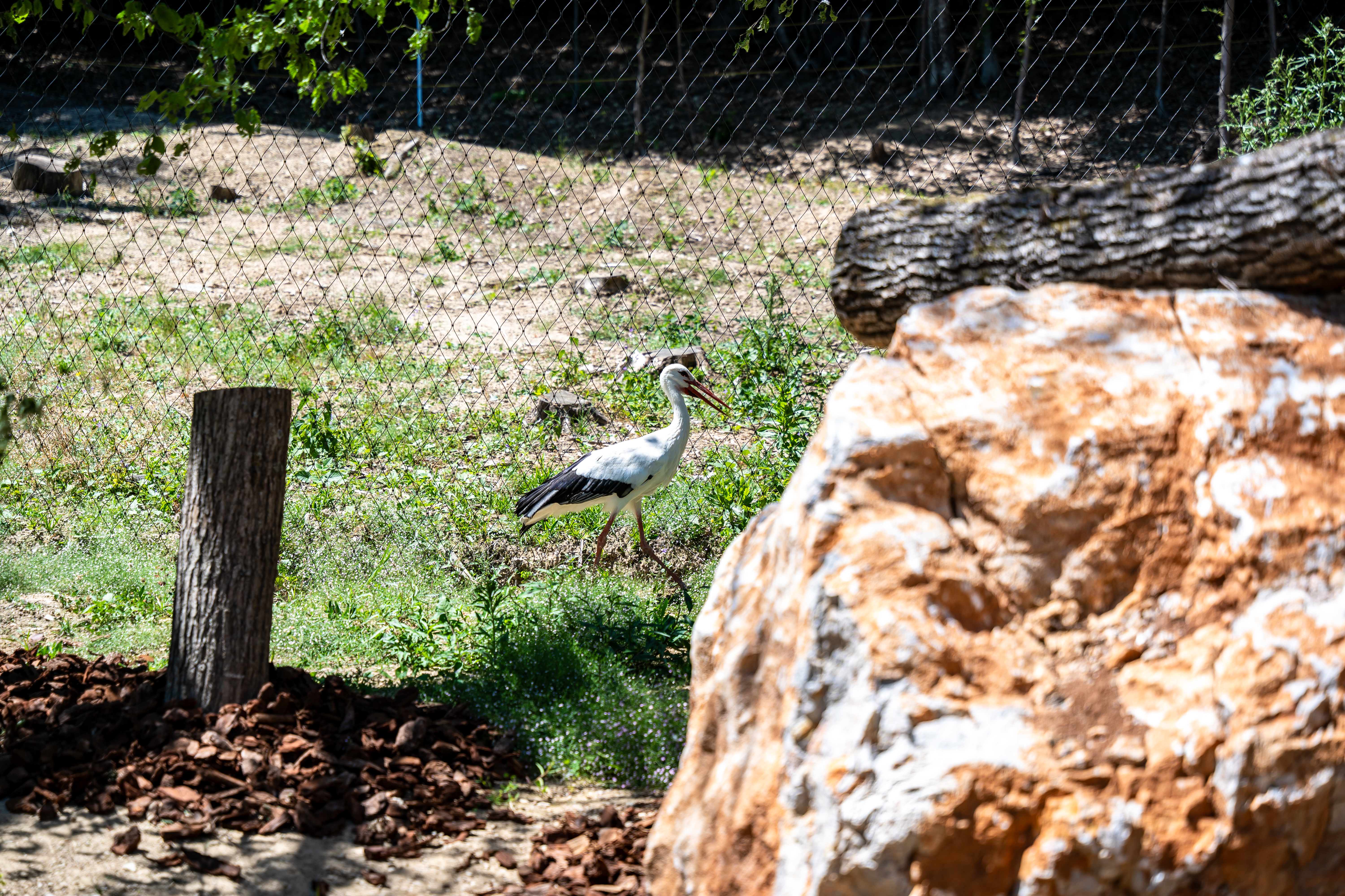 ZOO Košice