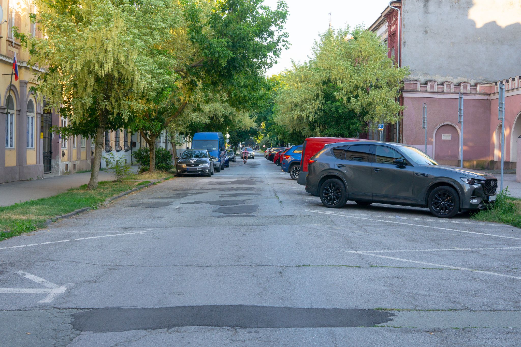 Puškinova