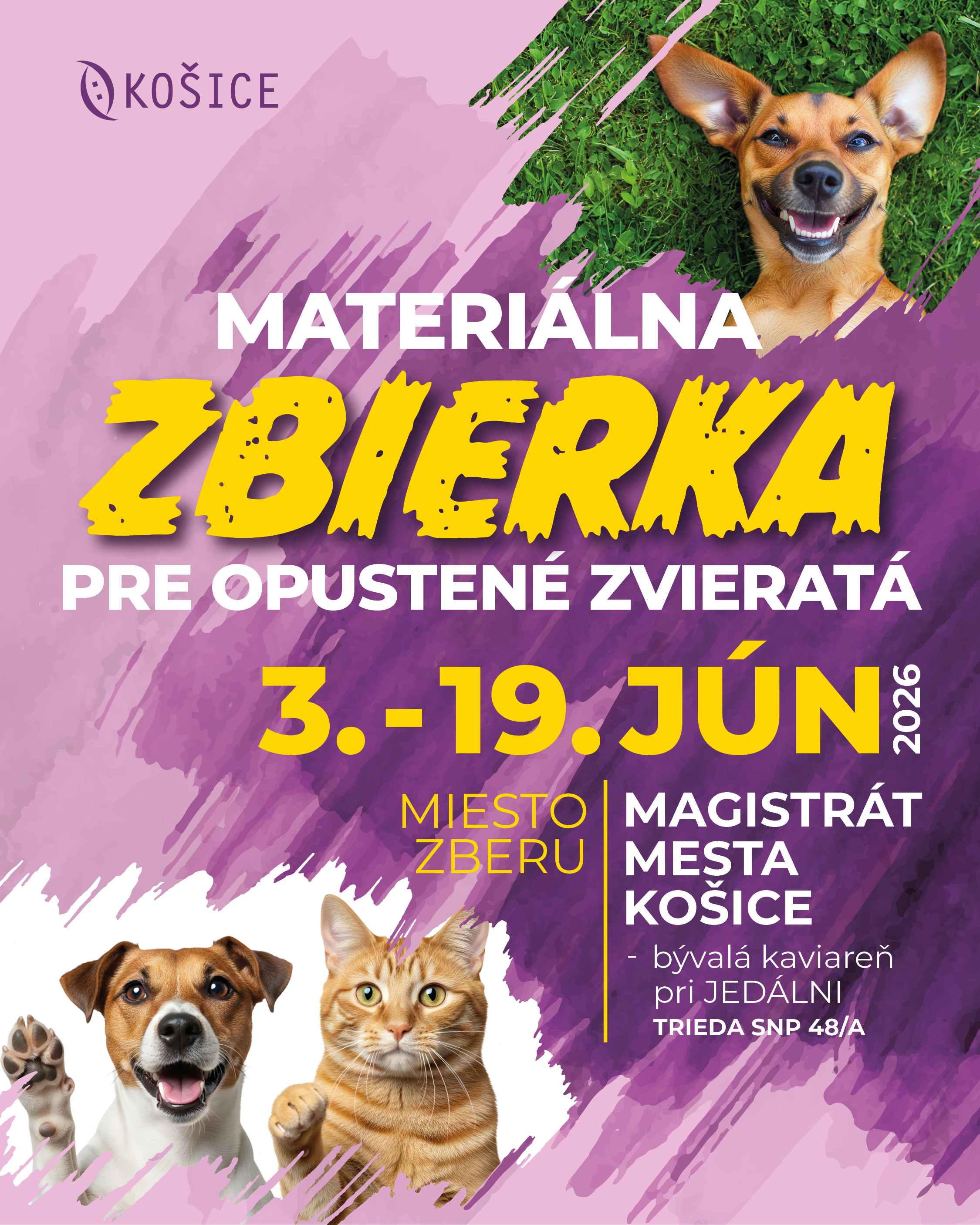Zbierka pre útulky