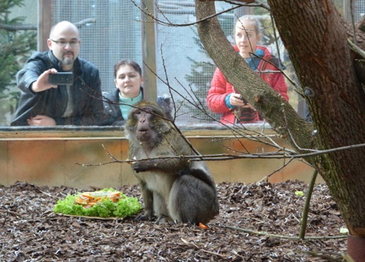 ZOO poteší malých aj veľkých