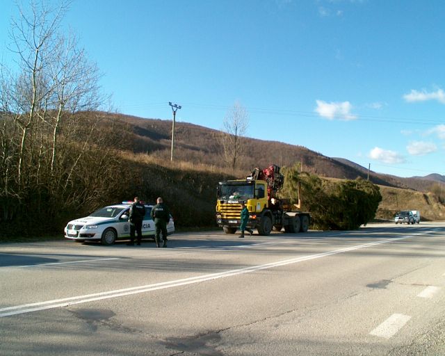 Prevoz stromu do Košíc sprevádzala polícia