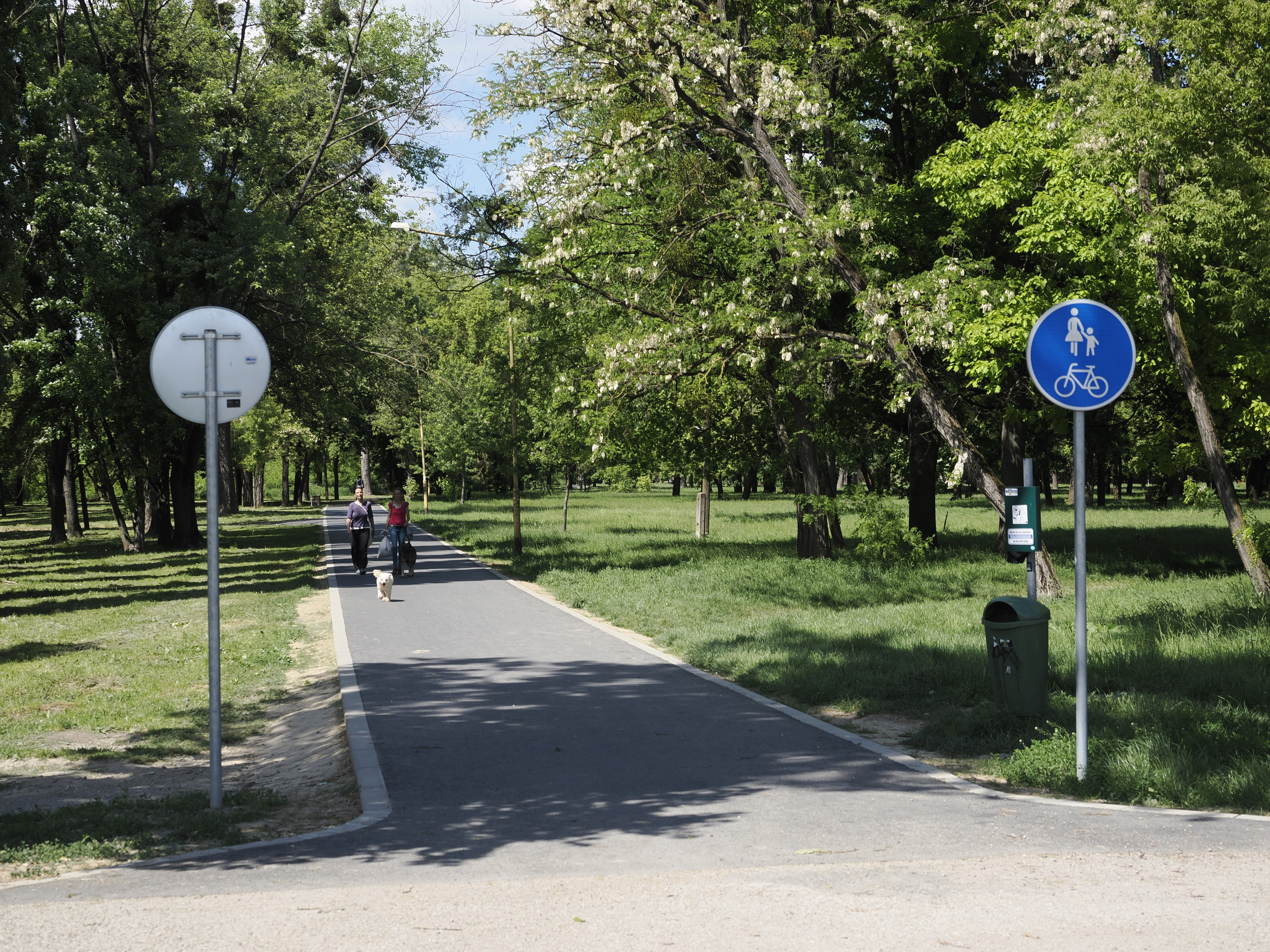 Anička