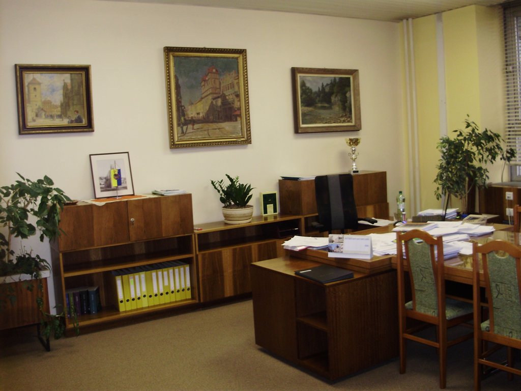 Kvety v kancelárii riaditeľa magistrátu P. Lazúra
