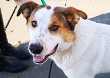 942_WQPtDVPKSEnPn246CGuqNKDURUAw7zcZAa7Rjv9mbBAAdZCkBe