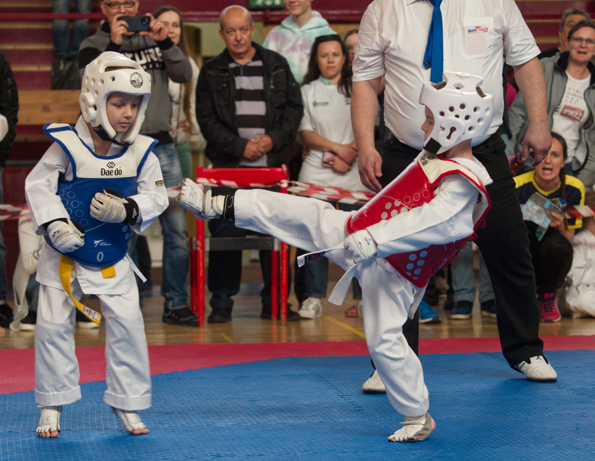 Taekwondo41