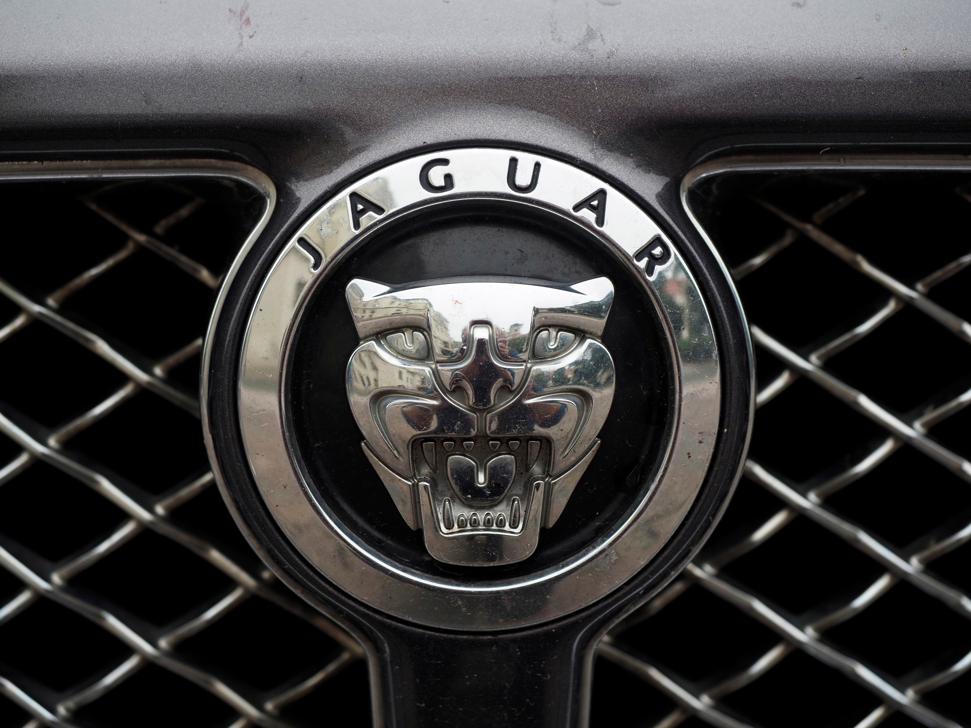 Jaguar6