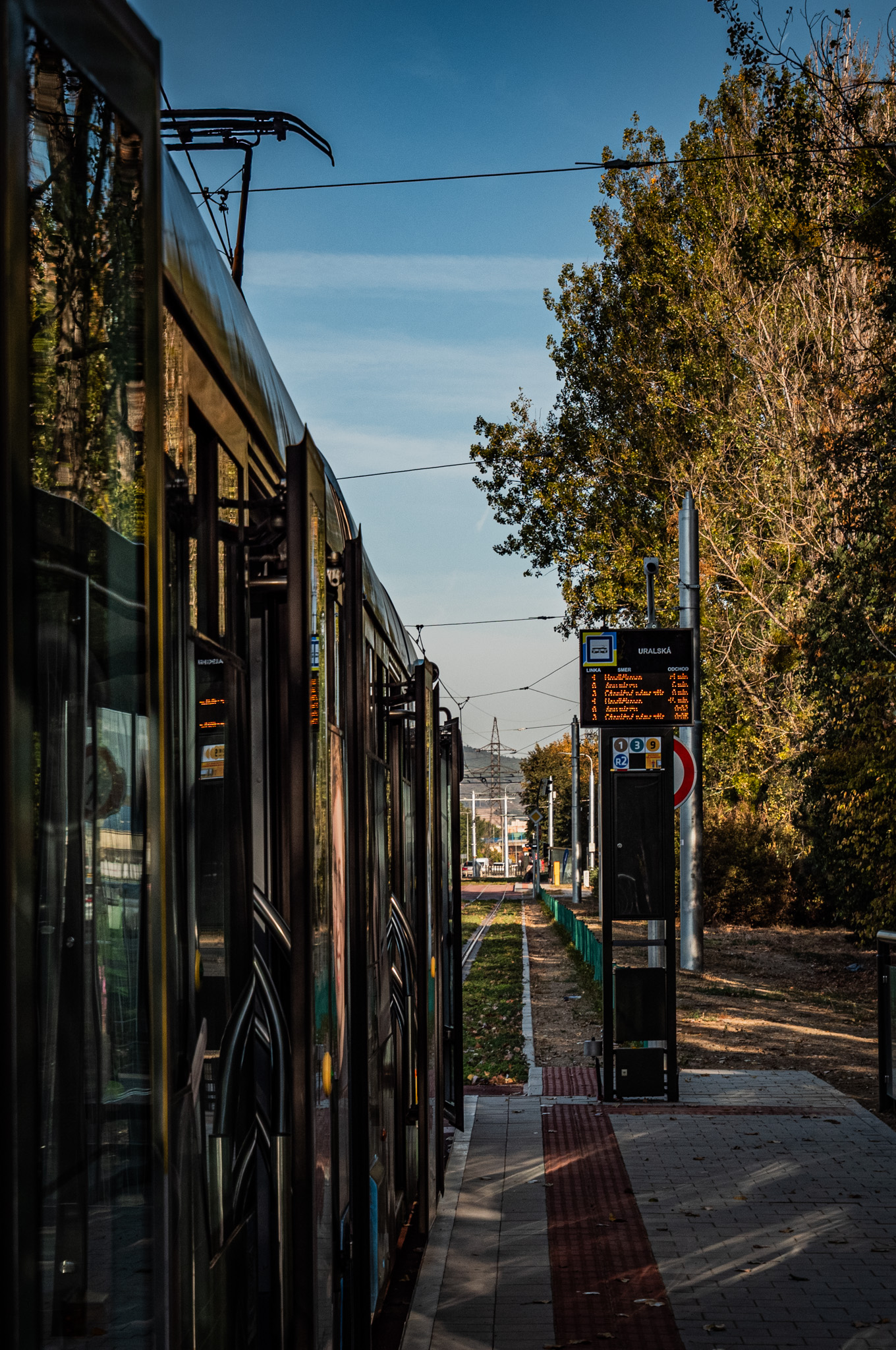 EL_Jazero_Trat-88