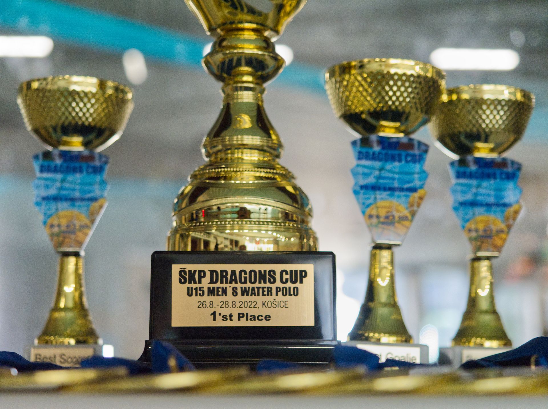 DragonsCup8
